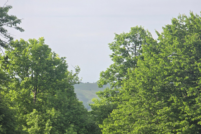Baku: Excursão de 2 dias a Shamkir e Gadabay com hotel e refeições