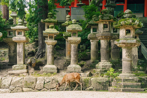 Osaka: Nara, Akame 48 Waterfalls & Tanzan Shrine Tour Shared Tour, Meet at Tsurutontan Soemoncho