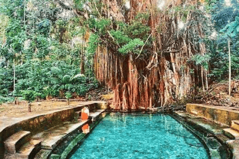 Excursion d&#039;une journée dans les montagnes de Siquijor depuis Dumaguete (visite privée)Excursion d&#039;une journée dans les montagnes de Siquijor (visite privée)