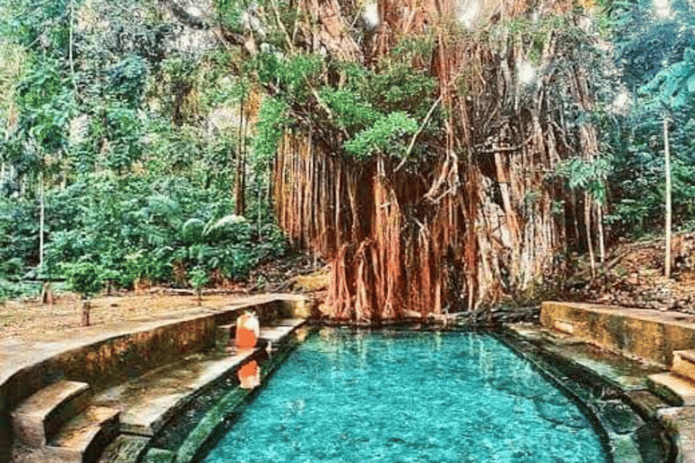 Excursion d&#039;une journée dans les montagnes de Siquijor depuis Dumaguete (visite privée)Excursion d&#039;une journée dans les montagnes de Siquijor (visite privée)