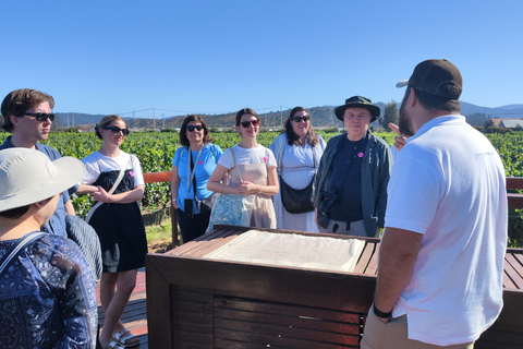 Casablanca-Valparaíso: Explore 2 vineyards with a tour, tasting, and lunch Casablanca, 2 vineyards Tour and tasting + Lunch