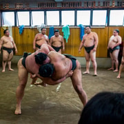 Tokyo Sumo Morning Practice Tour with Real Stable Viewing & Guide