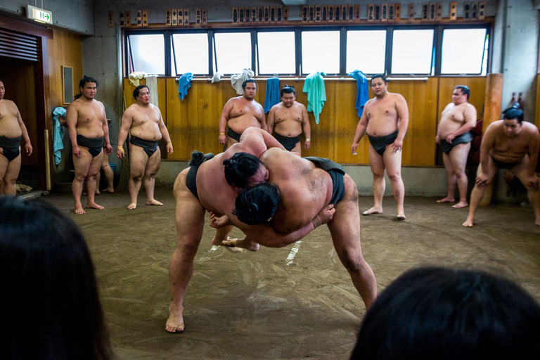 Tóquio: Excursão de visualização da prática matinal de sumôTour de sumô em Ryogoku