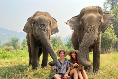 Chiang Mai: Ethical Elephant Experience with Bamboo Rafting