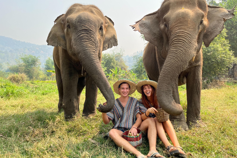 Chiang Mai: Ethical Elephant Experience with Bamboo Rafting