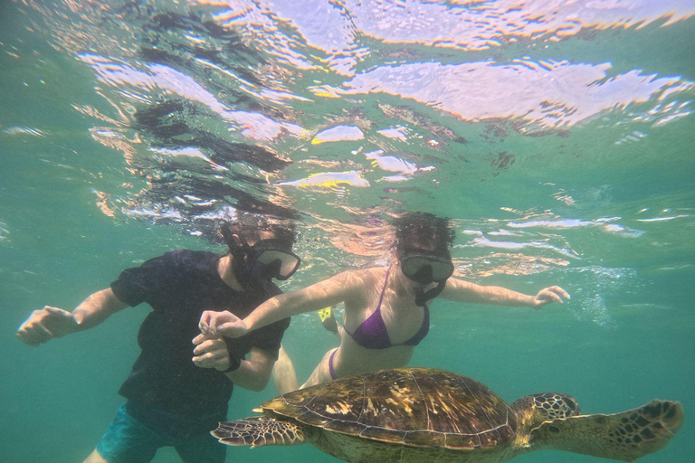 Mirissa: Thalaramba Beach Snorkeling Tour with Sea Turtles