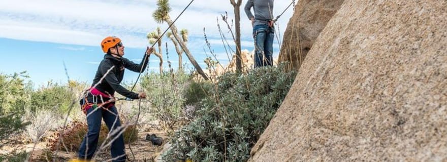 Parc national de Joshua Tree : Escalade privée
