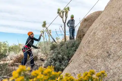 Joshua Tree National Park: Private Rock Climbing Trip