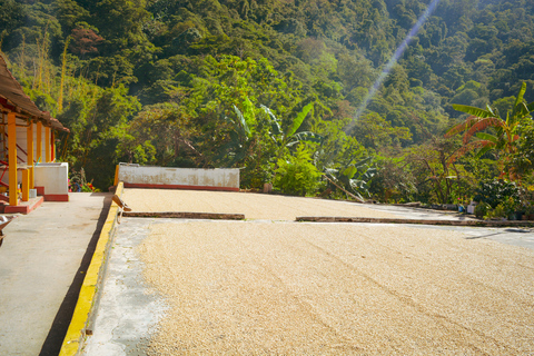 7h Road Trip zum Dschungel oder Tayrona Park mit Cap. Manny7h Road Trip mit Cap. Manny - Santa Marta und Umgebung