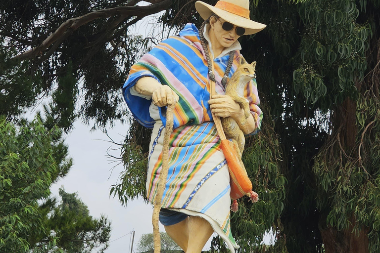 Desde Arequipa: Cañón del Colca 1 Día