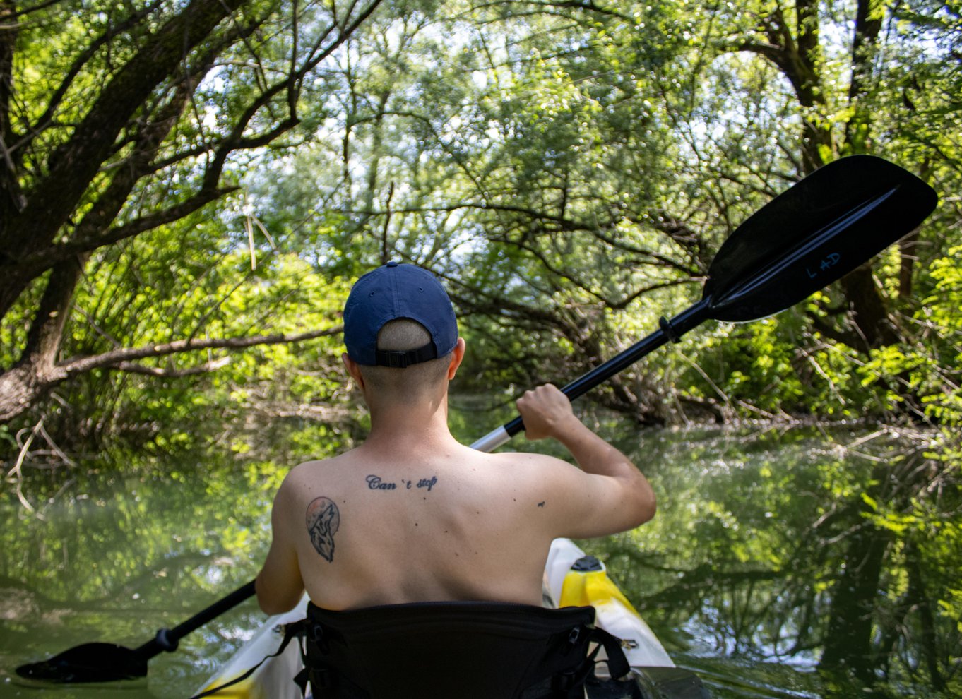 Virpazar: Tag på en selvguidet kajaktur gennem den smukke Skadar-sø!