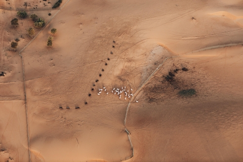 Dubái: paseo en globo aerostático con paseo en camello y foto de halcón