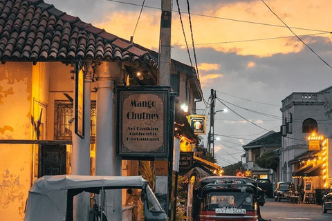 Bentota: Galle Fort, Turtle Hatchery, & Moonstone Mine Tour