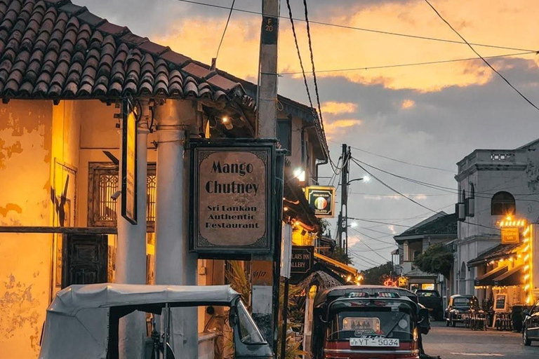 Bentota: Galle Fort, Turtle Hatchery, & Moonstone Mine Tour
