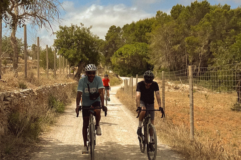 Ibiza: Self-Guided eMTB/e-Bike Rental with GPS Routes