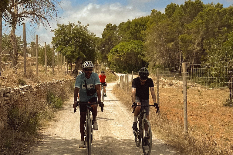 Ibiza: Self-Guided eMTB/e-Bike Rental with GPS Routes