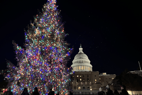 Washington, DC: Busstur med julgranar och julbelysningWashington, D.C.: Busstur med julbelysning