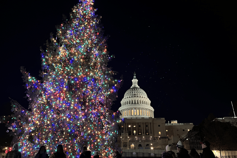 Washington, DC: Busstur med julgranar och julbelysningWashington, D.C.: Busstur med julbelysning