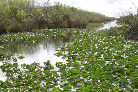 Miami: Everglades Airboat and Wildlife Reserve