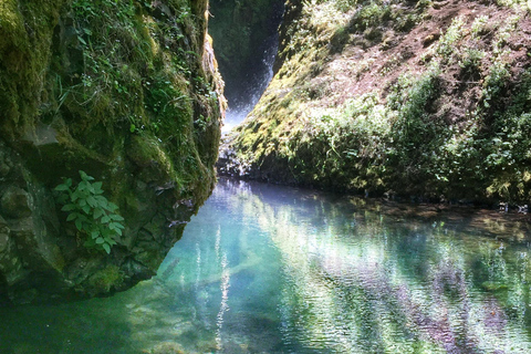 Portland: Columbia River Gorge Waterfalls Hike & Bike Tour