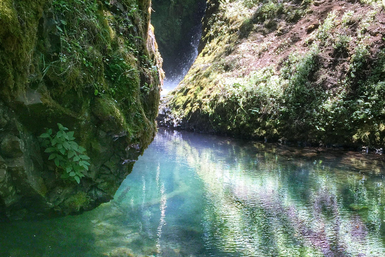 Portland: Columbia River Gorge Waterfalls Hike & Bike Tour