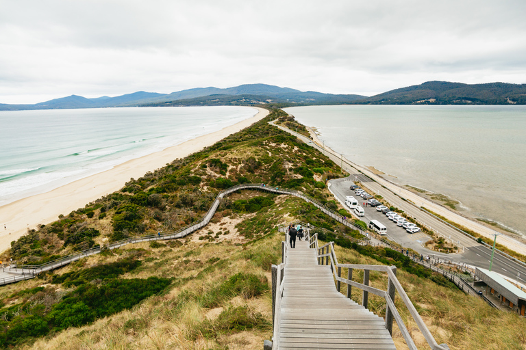 Hobart : Aventure sur l'île de Bruny avec déjeuner et visite du phare