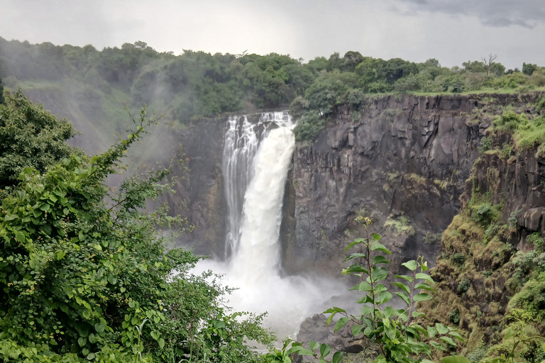 Victoria Falls:old age private guided tour