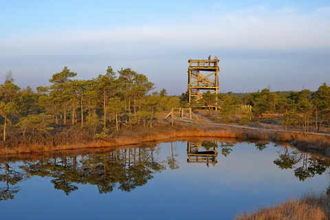 From Riga: Kemeri bog and Kuldiga widest waterfall in Europe