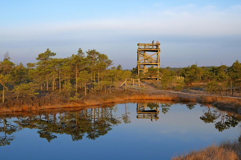 From Riga: Kemeri bog and Kuldiga widest waterfall in Europe