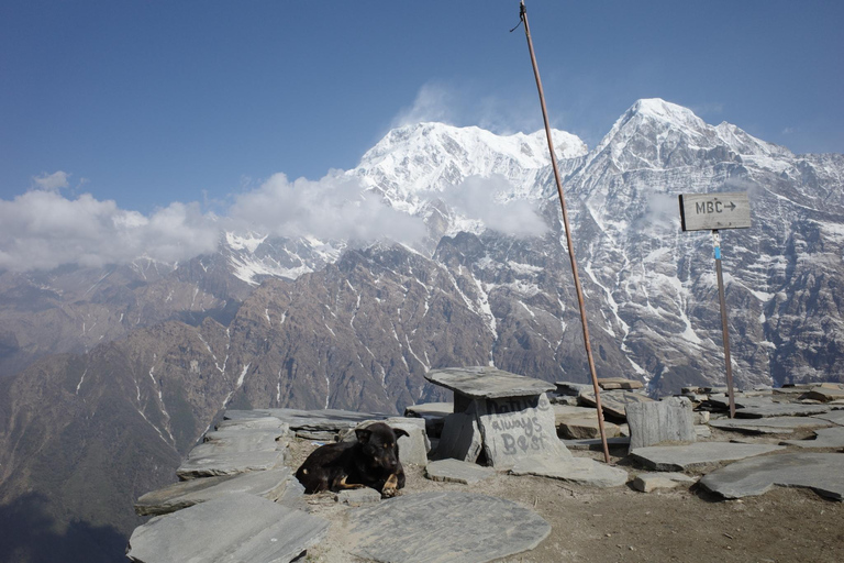 Från Kathmandu: 6 dagars guidad vandring i Mardi Himal Base Camp