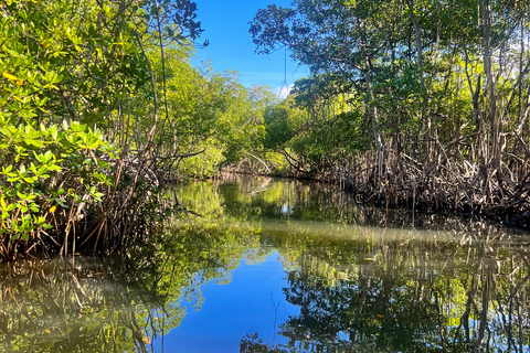 Private 4-Day Tour from Punta Cana/Bayahibe to Los Haitises