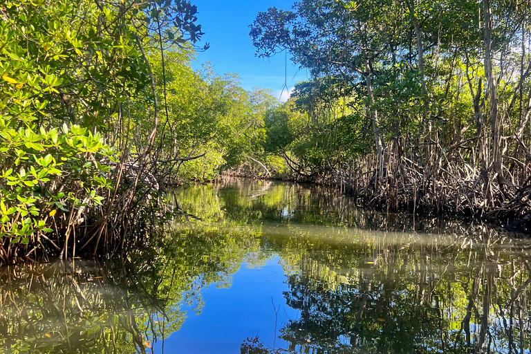 Private 4-Day Tour from Punta Cana/Bayahibe to Los Haitises