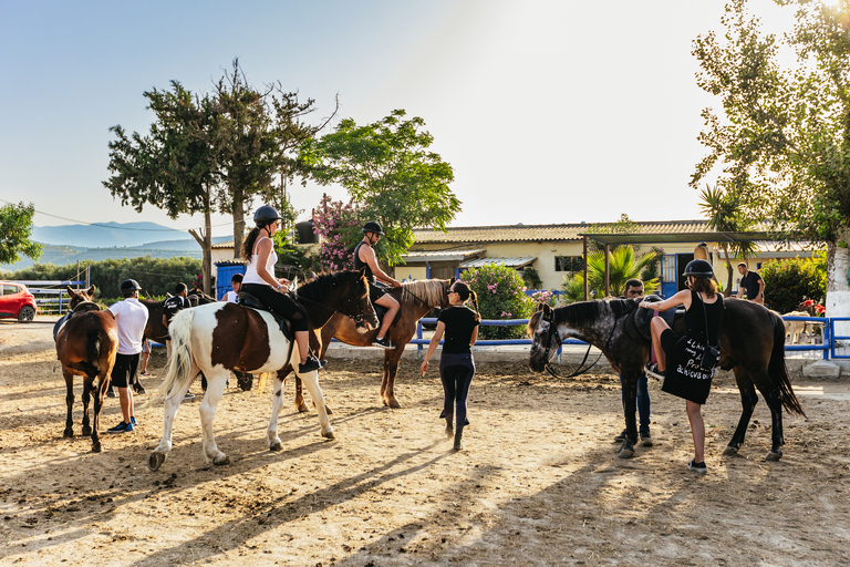 Heraklion : Excursion d'une journée à cheval à Finikia avec déjeuner