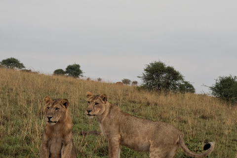 Kampala: 2-Day Best Murchison Falls Wildlife Adventure Tour