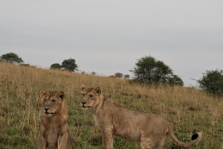 Kampala: 2-Day Best Murchison Falls Wildlife Adventure Tour