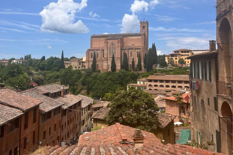 Tour di Siena e San Gimignano in van da Lucca o Pisa