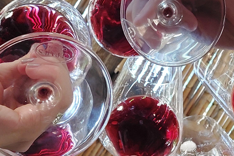 Flavors and wellness: wines, hot springs and gastronomy in Mendoza