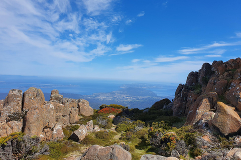 Von Hobart aus: Mt. Wellington Rundgang am Morgen