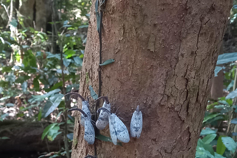 Cat Tien National Park with Crocodile Lake