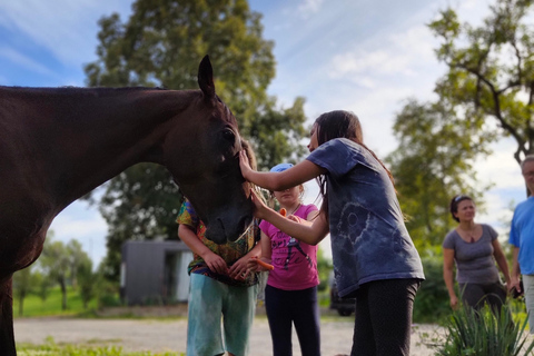 Plitvice: Horseback Riding Tour with Cave Entry Ticket Ride to Barać Caves (Half‑day Horseback Tour)