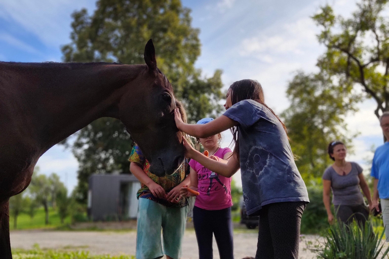Plitvice: Horseback Riding Tour with Cave Entry Ticket Ride to Barać Caves (Half‑day Horseback Tour)