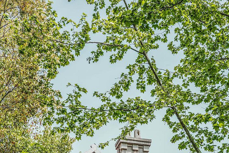 Shanghai: 4h Private City Tour, EN DE FR IT RU Local Guide Shanghai: 4h Private Tour with Italian Local Guide