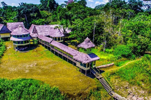 Excursão de dia inteiro à ilha dos macacos