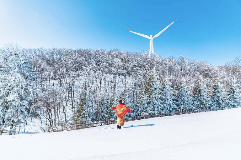 From Seoul: Pyeongchang Trout Festival & Ice Fishing A. Round-Trip Shuttle Bus Only