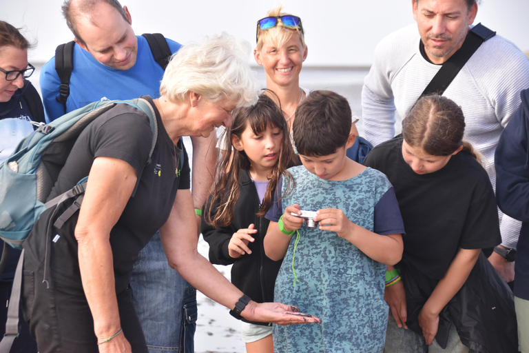 Butjadingen: Guided mudflat hike in the World Natural Heritage Site Butjadingen: Guided mudflat hike in the World Natural Heritage