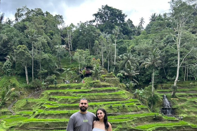 Ubud: Private Half-Day Tour Rice Terrace, Temple & Waterfall Private Ubud Half-Day Tour (Without Entrance Ticket)