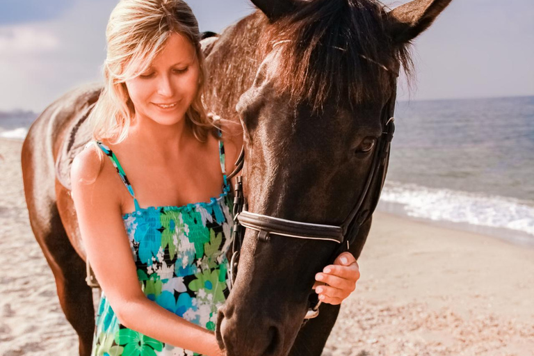 Essaouira: 1.5-Hour Horse Ride & Swim Experience with Photos
