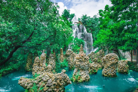 Chiang Mai: Mon Jam Flower Hills, Alpaca Cafe & Dantewada