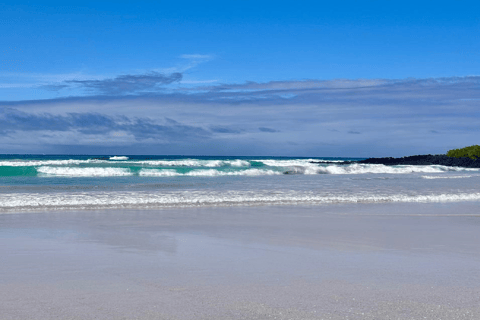 Santa Cruz: Tortuga Bay Guided Tour