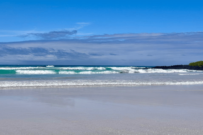 Santa Cruz: Tortuga Bay Guided Tour